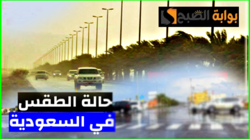 طقس السعودية 4