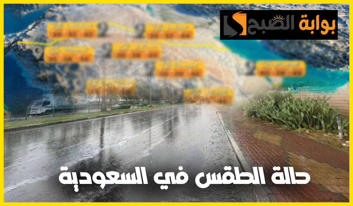 العظمى في الرياض 43.. المركز الوطني للأرصاد يعلن توقعات طقس السعودية اليوم السبت 3 أغسطس 2024