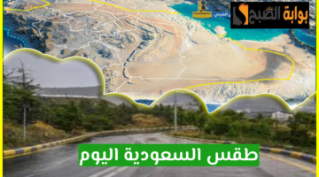 طقس السعودية اليوم 9