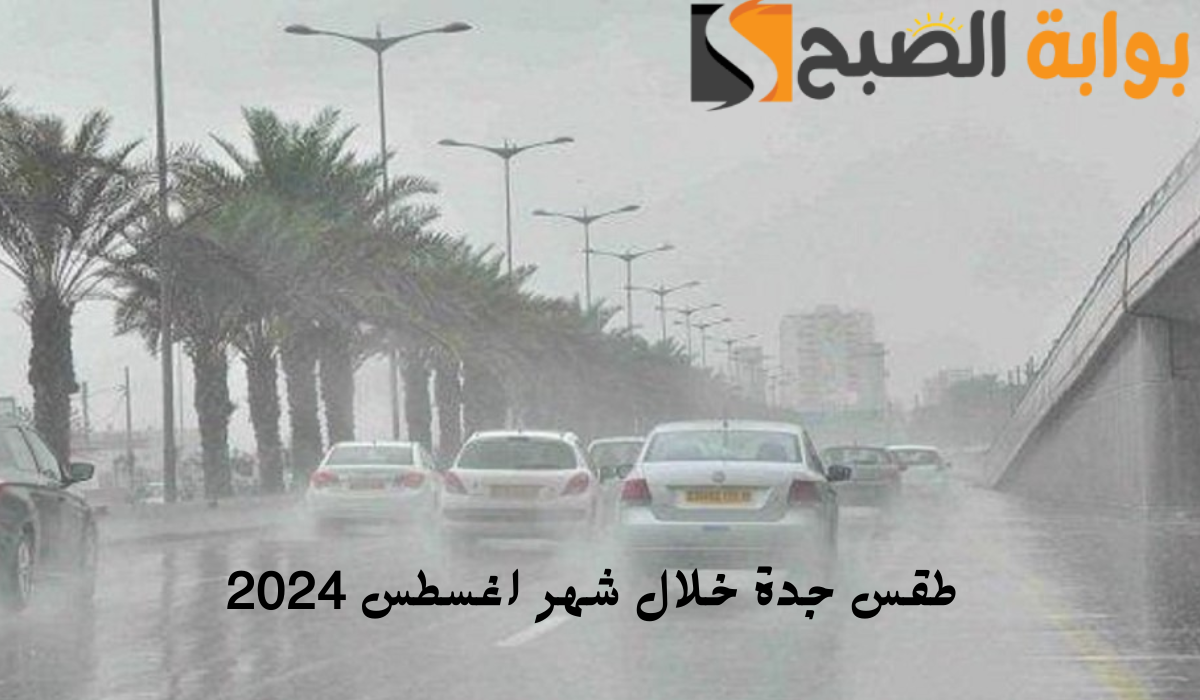 حقيقة هطول أمطار شديدة على السعودية خلال شهر أغسطس 2 حقيقة هطول أمطار شديدة على السعودية خلال شهر أغسطس