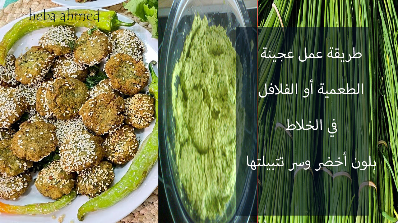 عجينة الطعمية أو الفلافل… طريقة عملها في الخلاط وسر لونها الأخضر وطعمها الرائع هتاكلي صوابعك وراها