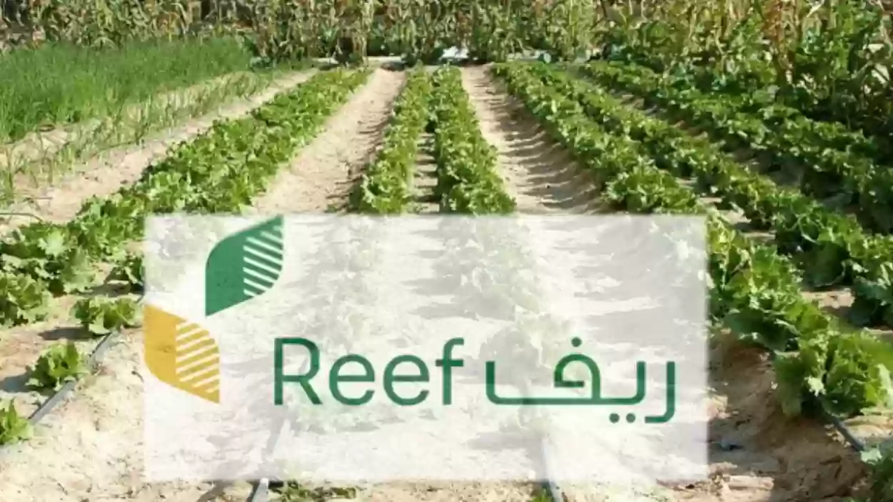 كيفية التسجيل في دعم ريف 1446 والشروط المطلوبة