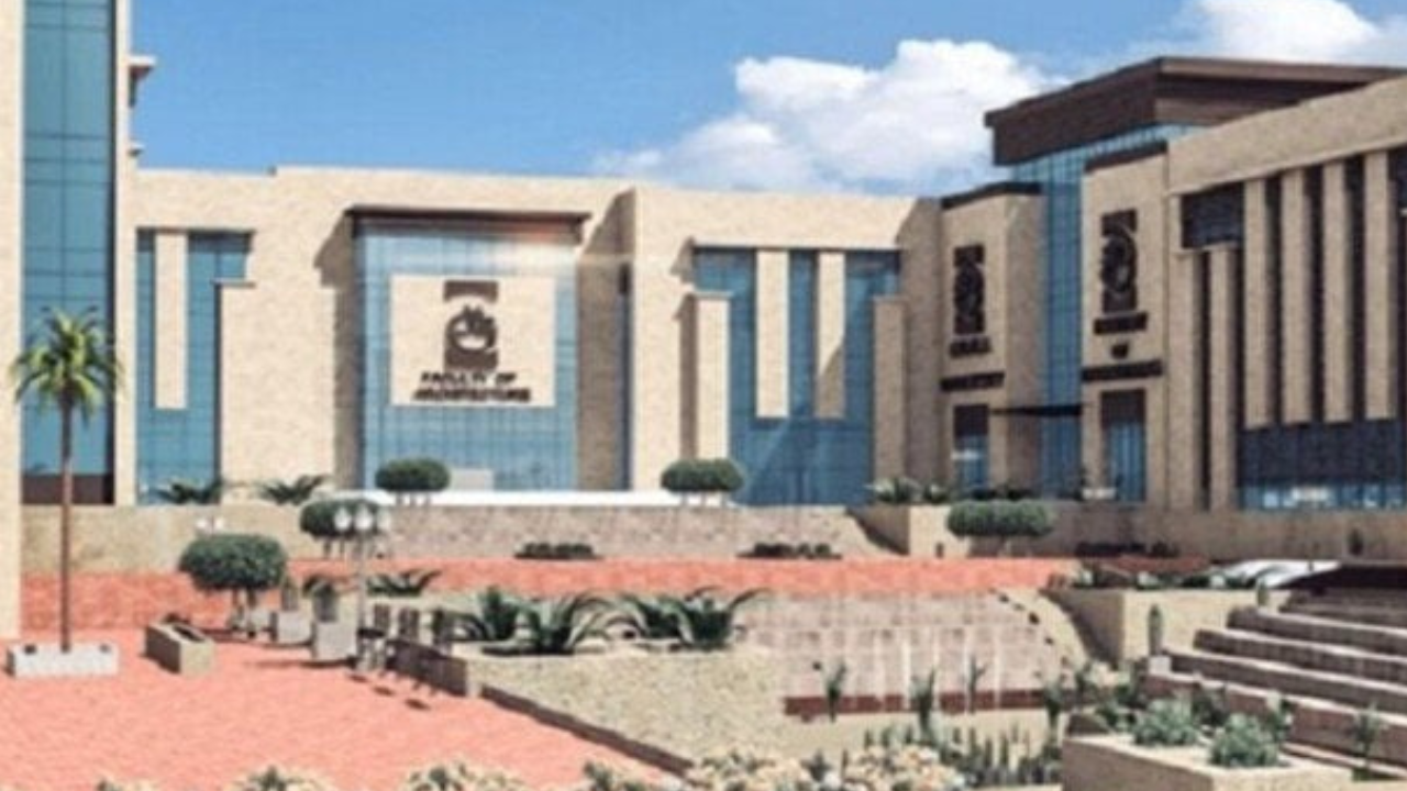 اعرف التفاصيل.. ما هي أرخص الجامعات الخاصة في مصر 2024؟