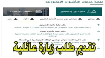 ما هي خطوات تقديم طلب لزيارة عائلية بالمملكة