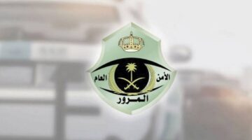 ماهي الخطوات اللازمة للتقديم على طلب تمديد مهلة سداد المخالفات المرورية 2024