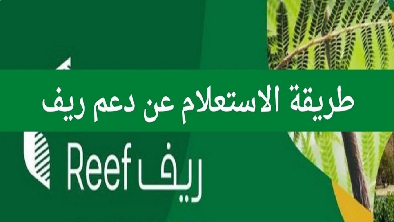خطوات التسجيل في دعم ريف لربات البيوت 1446 والشروط المطلوبة 2 خطوات التسجيل في دعم ريف لربات البيوت 1446 والشروط المطلوبة