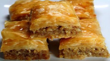 مقادير عمل الجلاش