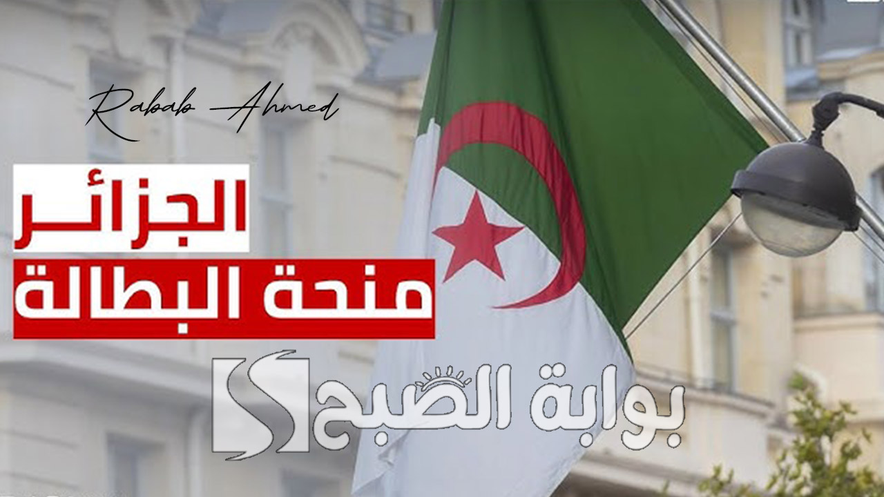 وكالة التشغيل الوطنية توضح.. شروط تجديد منحة البطالة في الجزائر 2024 وخطوات التسجيل