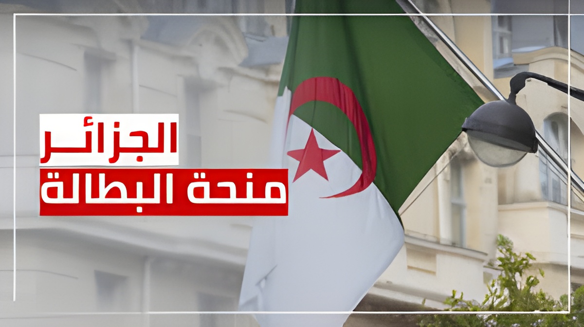 خطوة بخطوة.. كيفية تجديد منحة البطالة 2024 بالجزائر وأهم الشروط المطلوبة للتسجيل