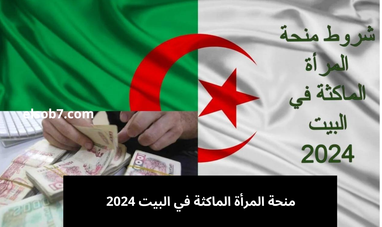 www anem.dz رابط تسجيل في منحة المرأة الماكثة الوكالة الوطنية للتشغيل 2024 وأهم الشروط 2 www anem.dz رابط تسجيل في منحة المرأة الماكثة الوكالة الوطنية للتشغيل 2024 وأهم الشروط