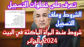 منحة المرأة الماكثة في البيت