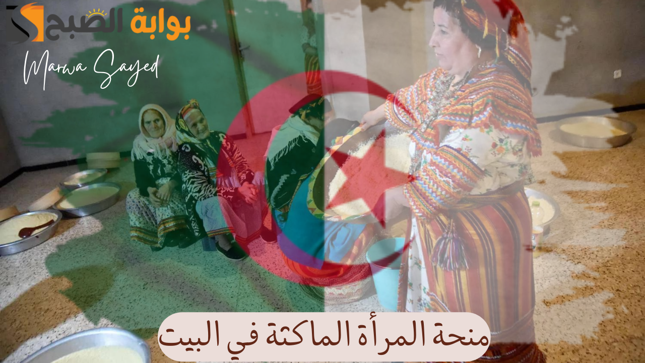 خطوات التسجيل في “منحة المرأة الماكثة في البيت” 2024| والشروط المطلوبة للتقديم www.anem.dz