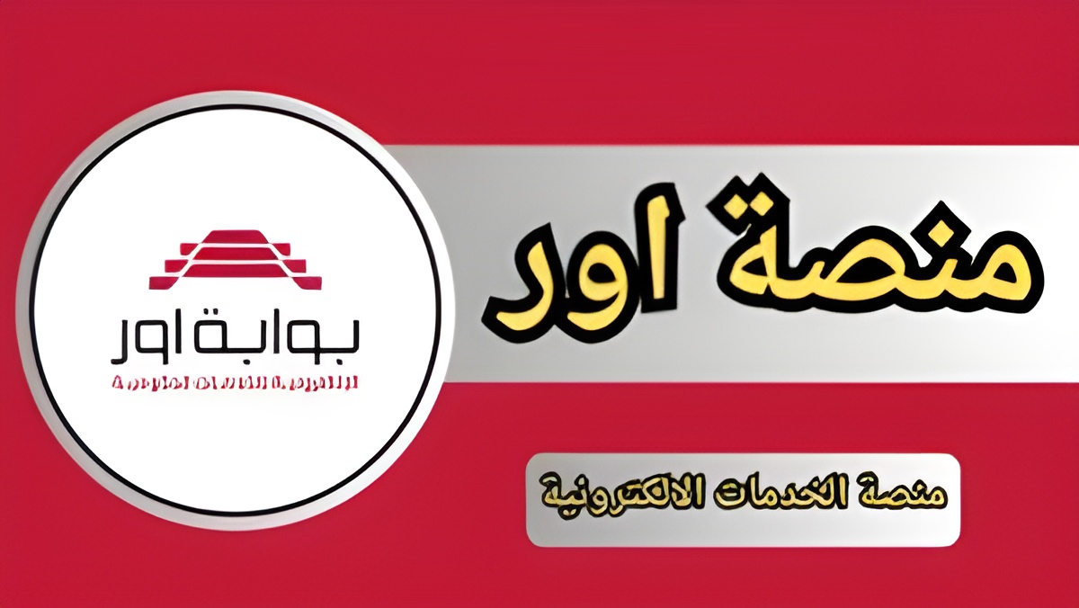 براتب ثابت.. خطوات التسجيل في استمارة التقديم على المعين المتفرغ 2024 وشروط التقديم