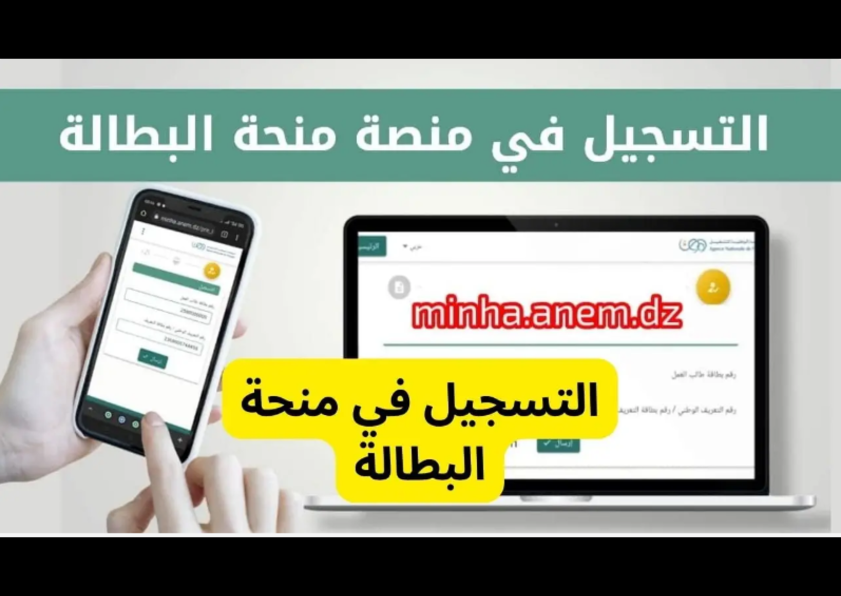 خطوات تجديد منحة البطالة كل 6 شهور في الجزائر 2024