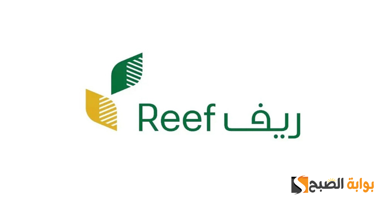 وزارة البيئة والمياه والزراعة تكشف عن موعد إيداع دعم ريف.. تفاصيل ومعلومات هامة