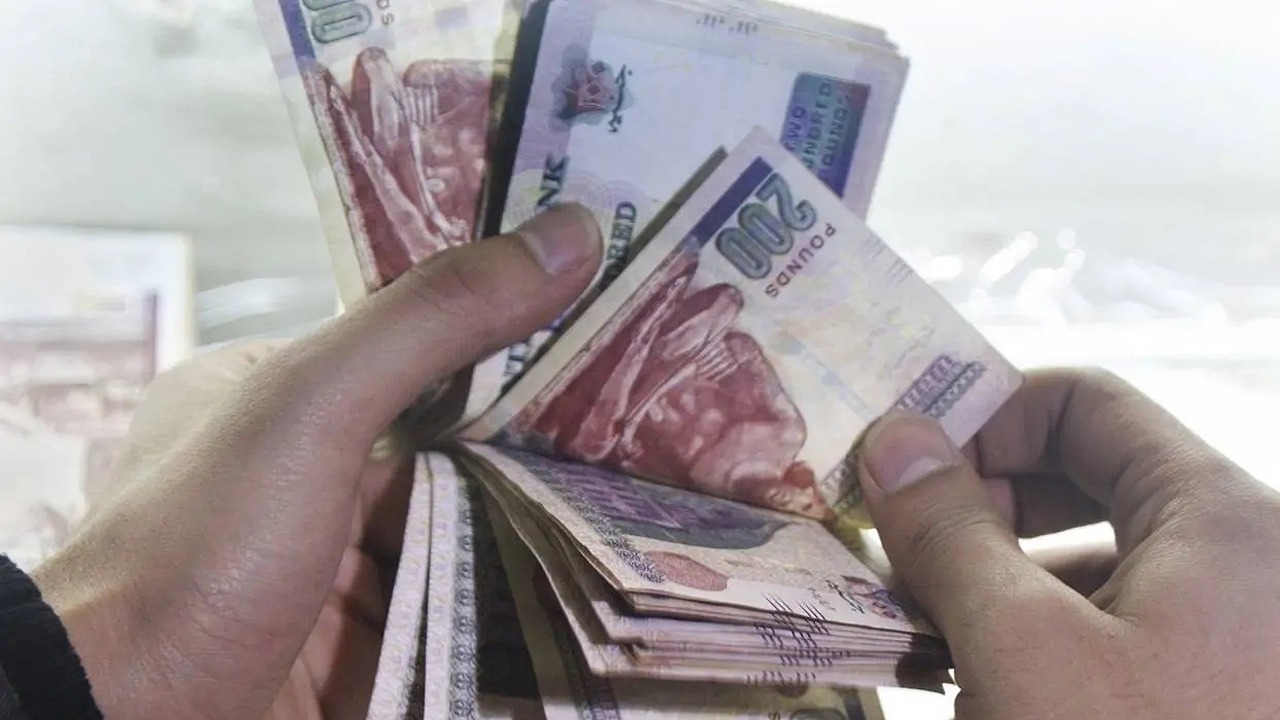 اعرف هتقبض كام؟.. موعد صرف معاشات سبتمبر 2024 بالزيادة الأخيرة 15% وخطوات الاستعلام 5 اعرف هتقبض كام؟.. موعد صرف معاشات سبتمبر 2024 بالزيادة الأخيرة 15% وخطوات الاستعلام