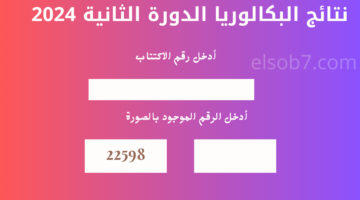 نتائج البكالوريا 2024