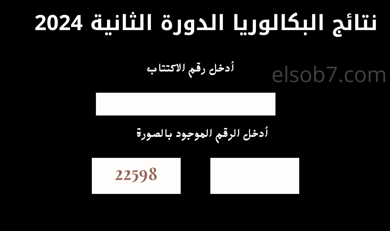 www moed.gov.sy رابط نتائج البكالوريا 2024 الدورة الثانية التكميلية برقم الاكتتاب