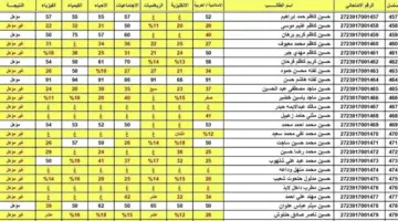 نتائج السادس الابتدائي 2024