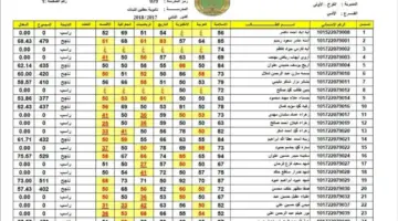 نتائج السادس الابتدائي الدور الثاني 2024 العراق