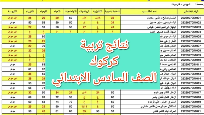 وزارة التربية العراقية| نتائج امتحانات السادس الإبتدائي الدور الثاني 2024 بكركوك ونينوى 