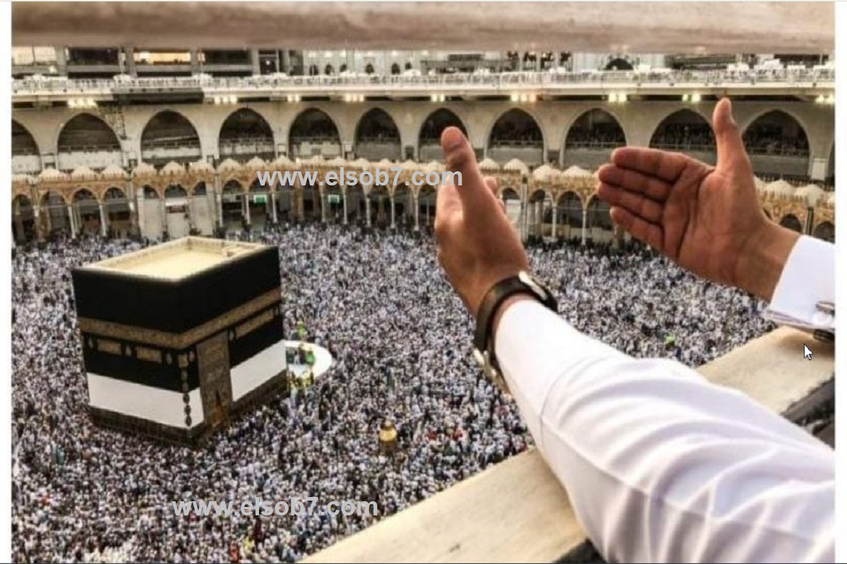 استعلم عبر الرابط hajj.gov.iq عن أسماء المقبولين في قرعة الحج بالعراق 2025 2 استعلم عبر الرابط hajj.gov.iq عن أسماء المقبولين في قرعة الحج بالعراق 2025