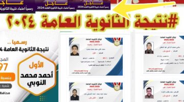 نتيجة الثانوية العامة 1 1