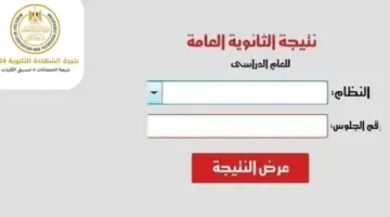 نتيجة الثانوية العامة فى مصر 2024 800x500 1