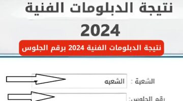 نتيجة الدبلومات الفنية