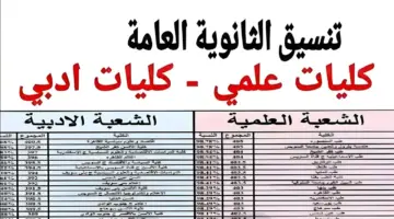 نتيجة تنسيق المرحلة الثانية 2024