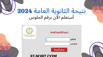 نتيحة الثانوية العامة 2024 موقع الوزارة