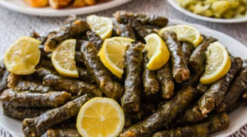 نص فقرتك 20240819 041424 ٠٠٠٠