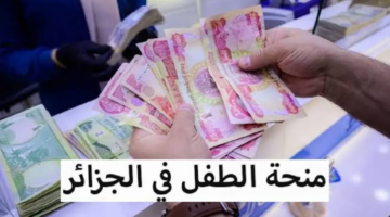 نص فقرتك 20240829 210516 ٠٠٠٠