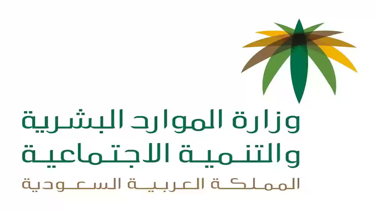خطوات تسجيل الدخول إلى الضمان المطور عبر نفاذ وشروط الاستفادة 1446 5 خطوات تسجيل الدخول إلى الضمان المطور عبر نفاذ وشروط الاستفادة 1446