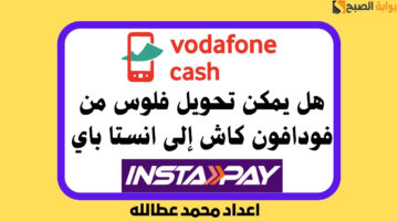 هل يمكن تحويل فلوس من فودافون كاش إلى انستا باي