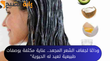 وداعًا لجفاف الشعر المجعد. عناية مكثفة بوصفات طبيعية تعيد له الحيوية 20240831 012524 ٠٠٠٠