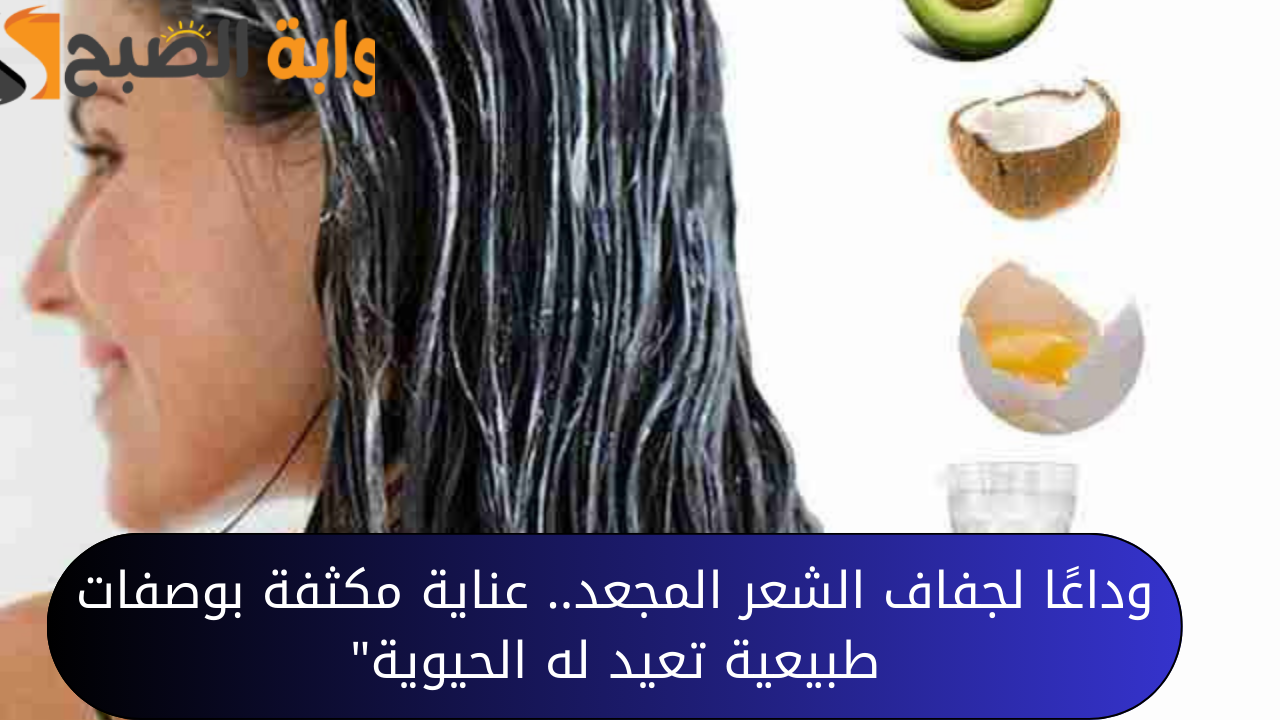 “وداعًا لجفاف الشعر المجعد”.. عناية مكثفة بوصفات طبيعية تعيد له الحيوية