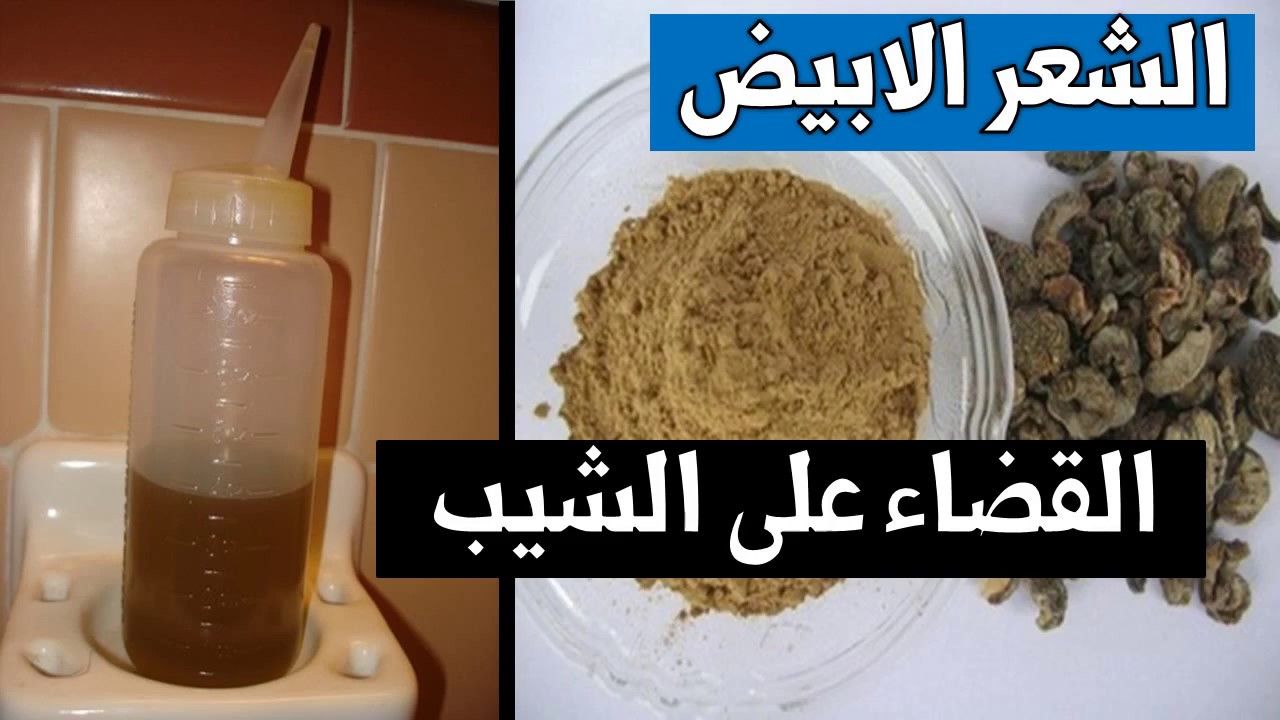 لو عندك شعر ابيض يبقى الوصفة ده ليكى… وصفات طبيعية للتخلص من شيب الشعر بلون ثابت يغذي ويرطب الشعر