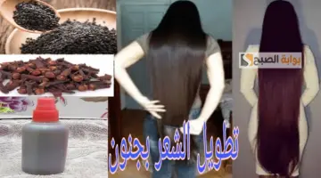 وصفة حبة البركة لتطويل الشعر