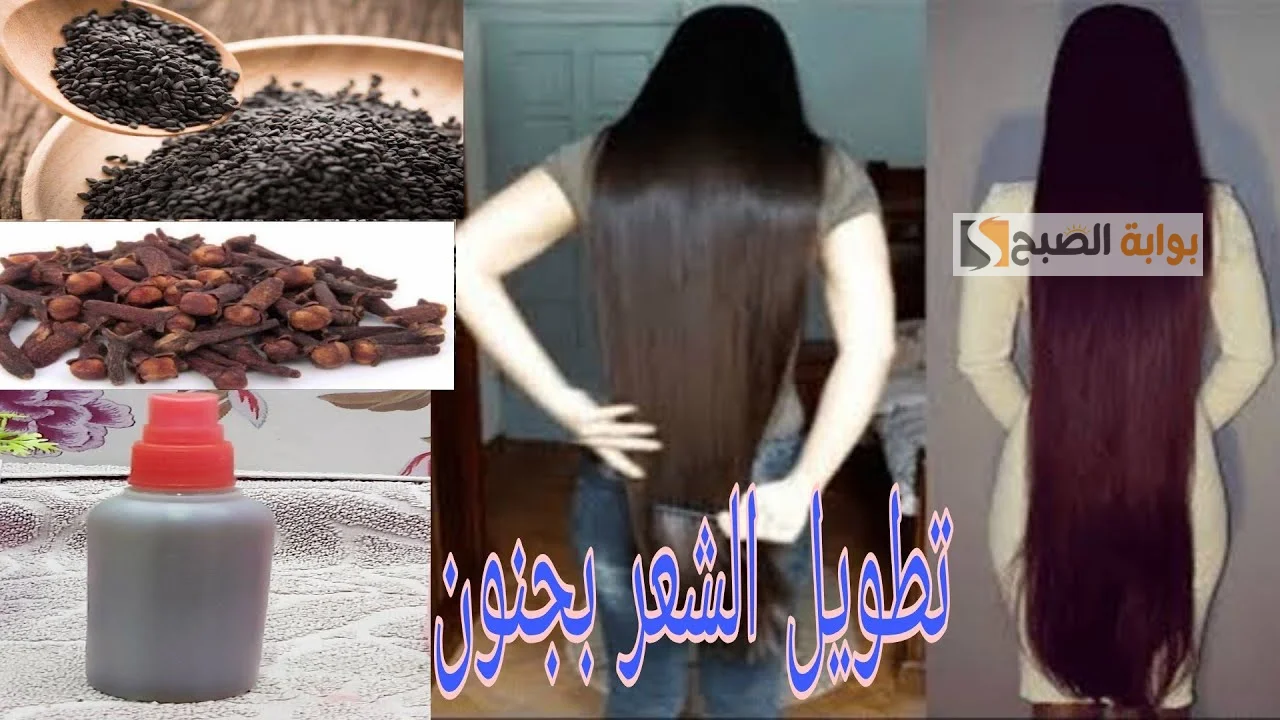 هيبقى زي ديل الحصان.. وصفة لإطالة الشعر بحبة البركة في أسرع وقت هيزيد 7 سم 5 هيبقى زي ديل الحصان.. وصفة لإطالة الشعر بحبة البركة في أسرع وقت هيزيد 7 سم