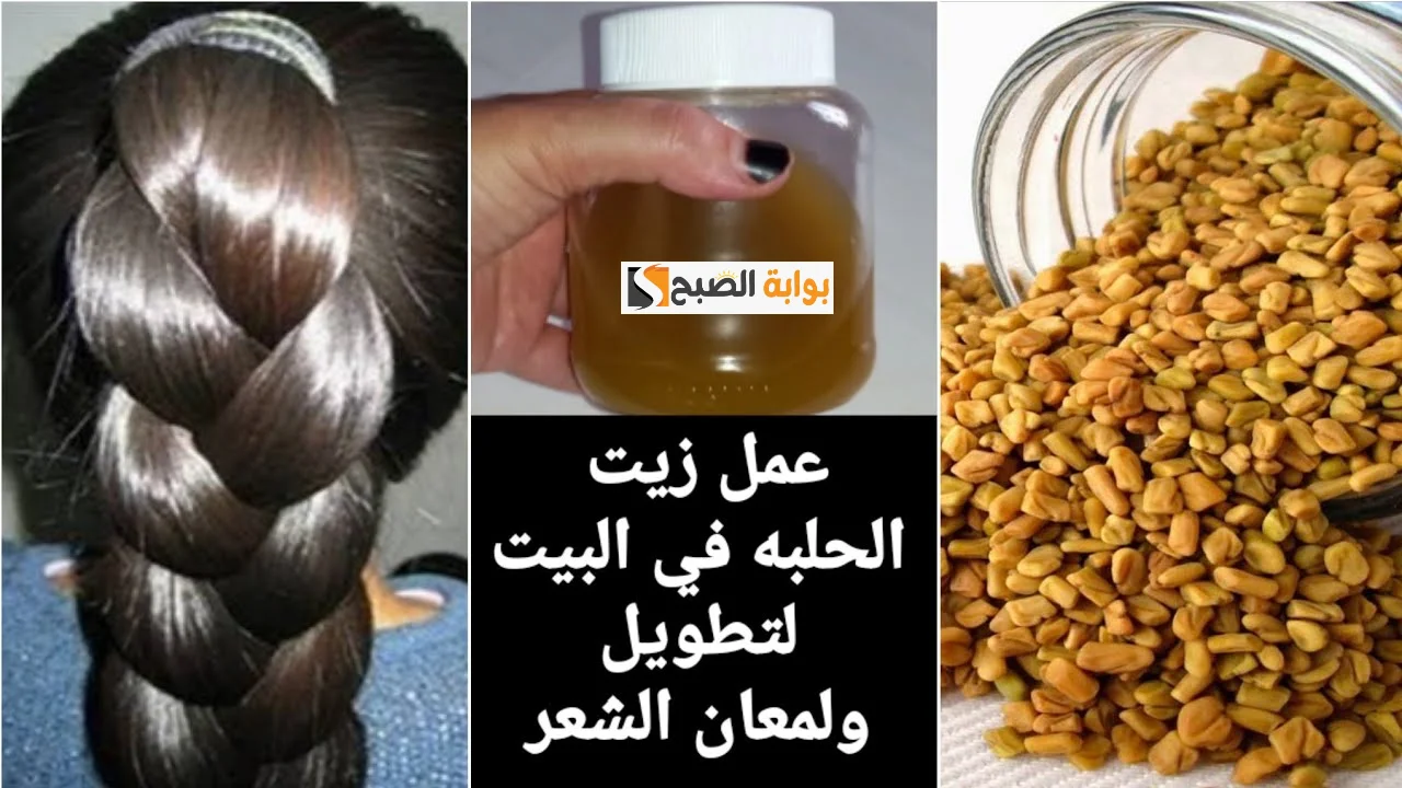 "مش هتستخدمي اكستنشن تاني” وصفة زيت الحلبة لتطويل الشعر بسرعة جنونية جربيها بنفسك وشوفي النتيجة! 5 “مش هتستخدمي اكستنشن تاني” وصفة زيت الحلبة لتطويل الشعر بسرعة جنونية جربيها بنفسك وشوفي النتيجة!