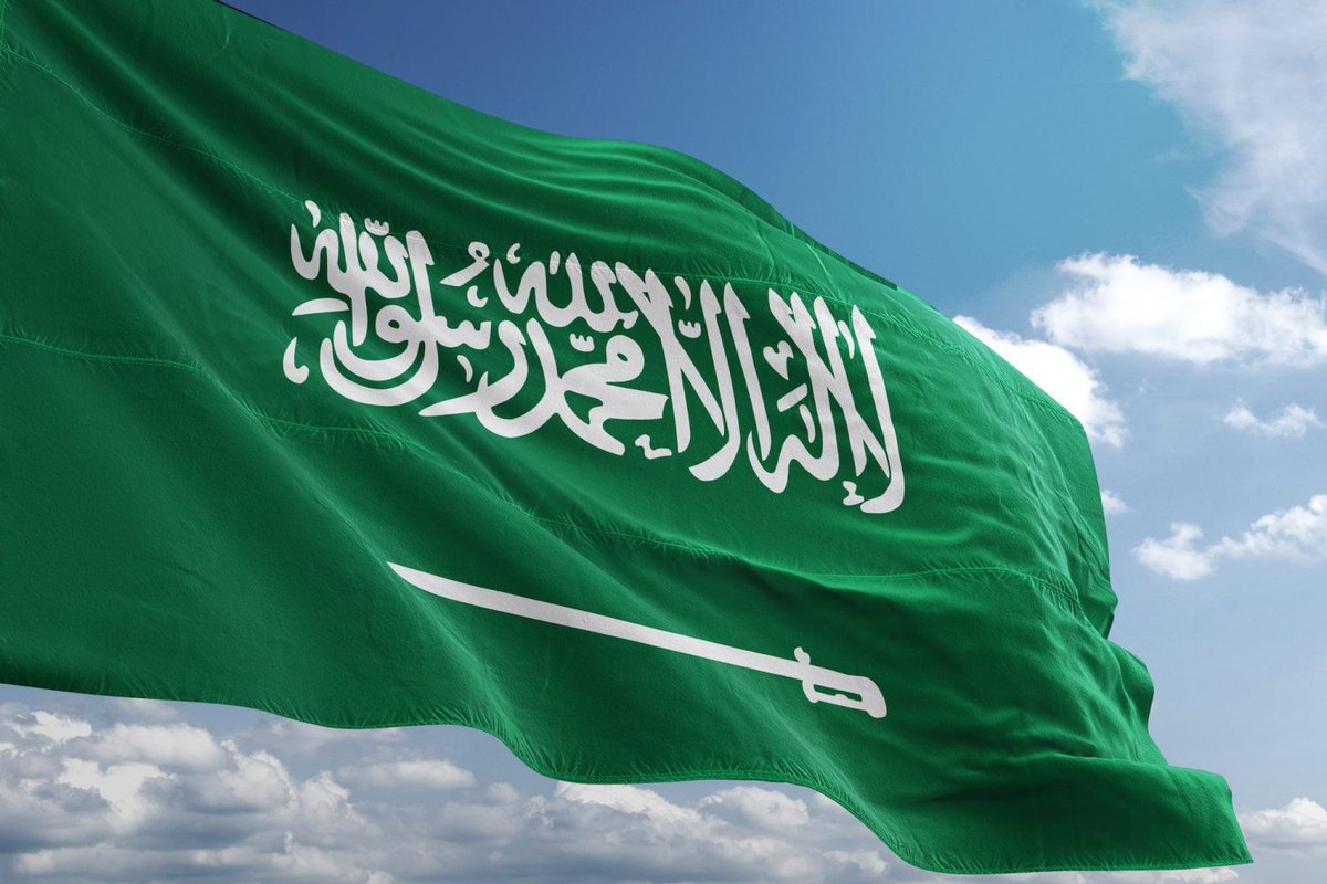 خطوات التقديم في معاملة تجنيس من الديوان الملكي 1446 2 خطوات التقديم في معاملة تجنيس من الديوان الملكي 1446