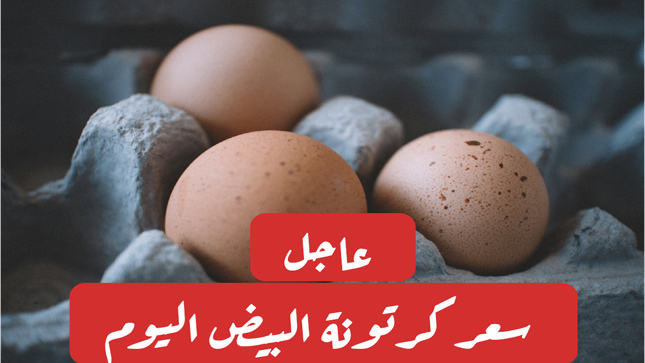 تراجع أسعار البيض... سعر كرتونة البيض اليوم الأحد الموافق 1 من سبتمبر بالنسبة للمستهلكين والجملة 2 تراجع أسعار البيض… سعر كرتونة البيض اليوم الأحد الموافق 1 من سبتمبر بالنسبة للمستهلكين والجملة