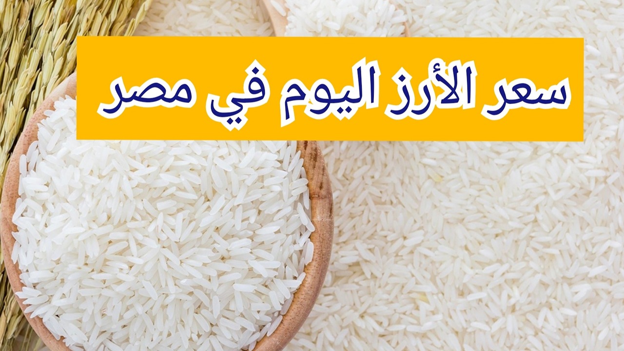 الحق خزن احتياجاتك.. سعر الأرز اليوم السبت 7 سبتمبر في الأسواق المصرية