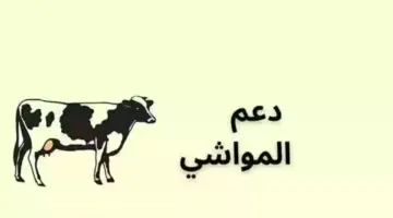 16 09 24 213617405