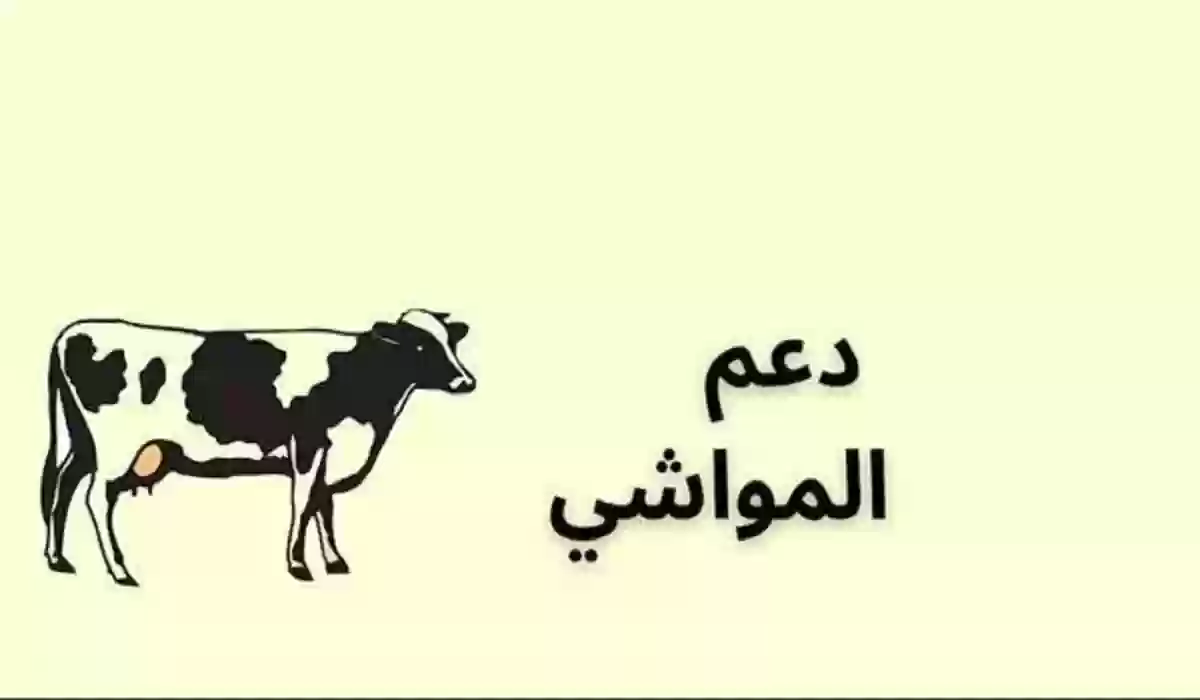 تعرف على شروط التسجيل في دعم صغار مربي المواشي 1446 وما هي طريقة الاستعلام