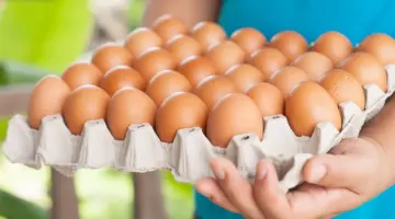 363