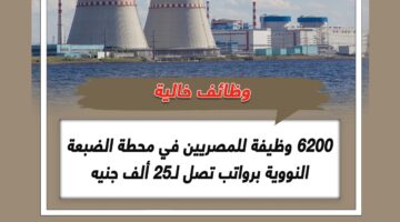 6200 وظيفة شاغرة في مشروع محطة الضبعة النووية