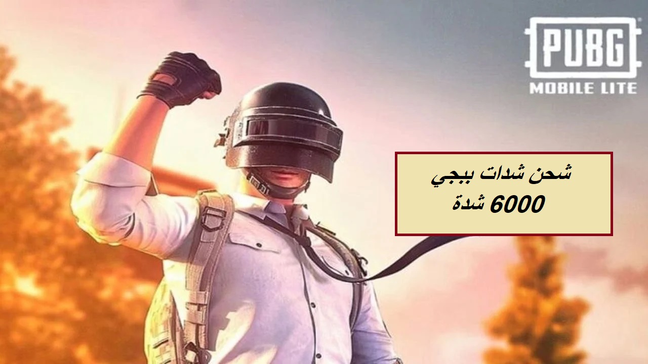 “احصل على 6000 شدة الآن”.. طريقة شحن شدات ببجي من الموقع الرسمي بخطوات سهلة