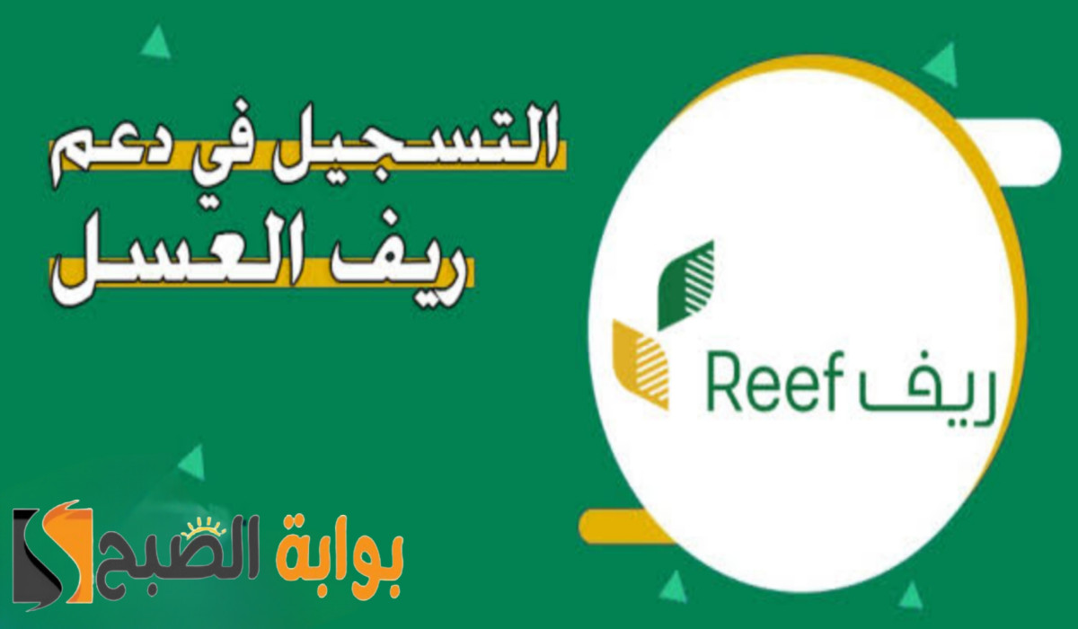 طريقة التقديم في دعم العسل ريف والشروط المطلوبة له 1446